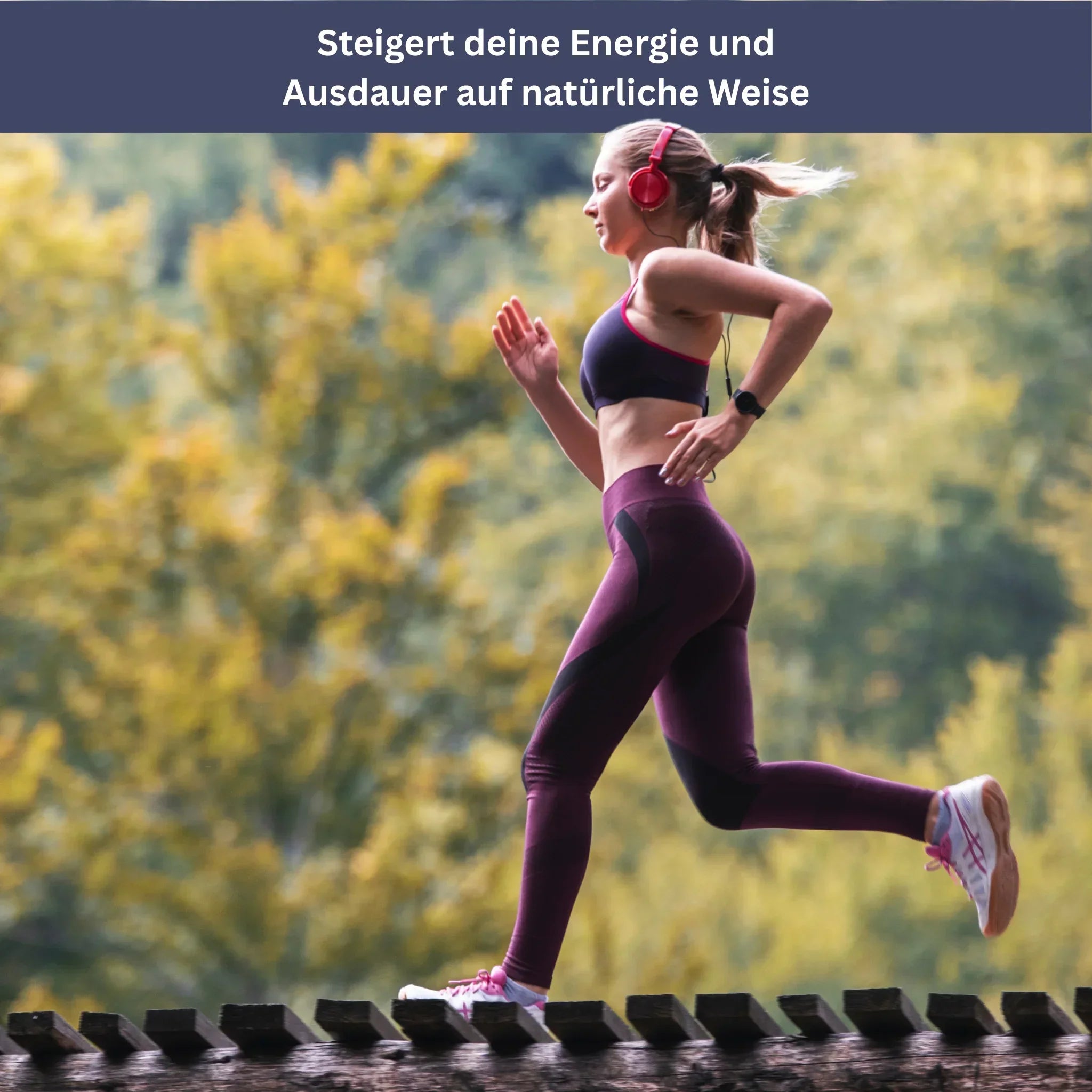 Shilajit – The Original