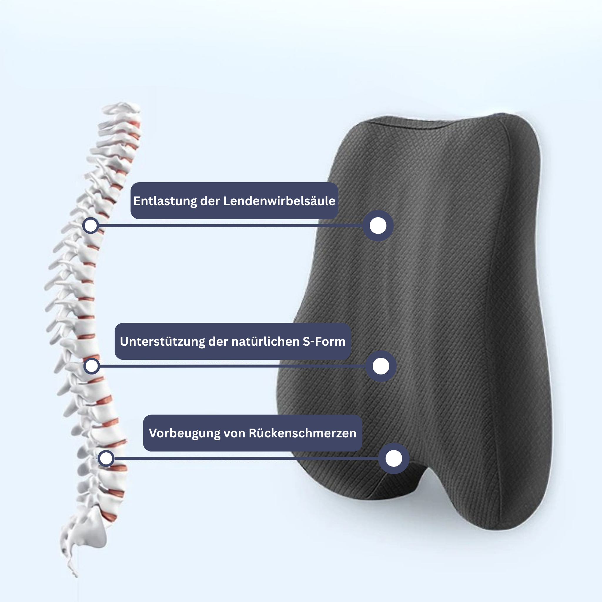 PosturePlus - Orthopedic back cushion